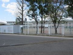 柳津小学校