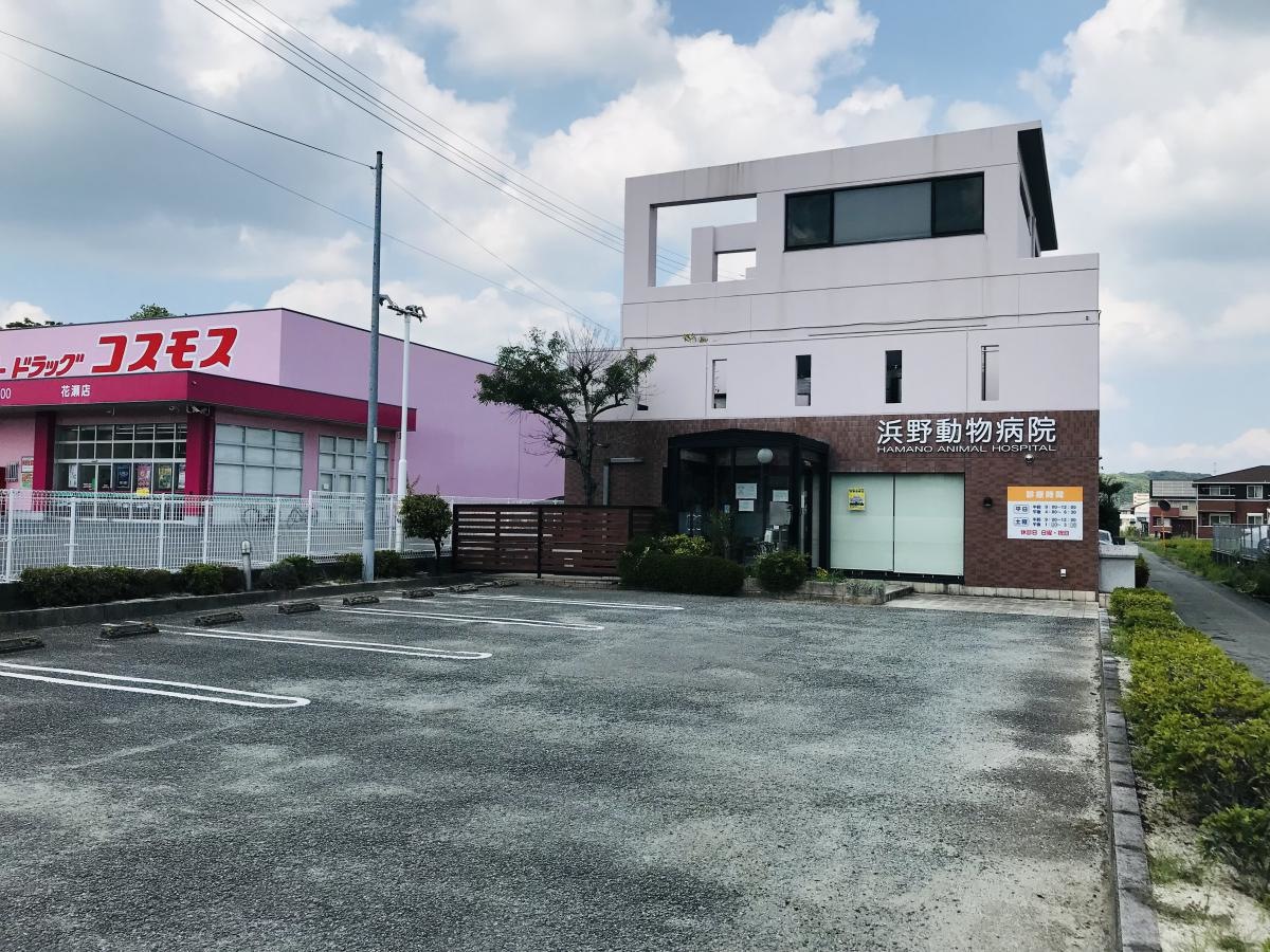 浜野動物医院