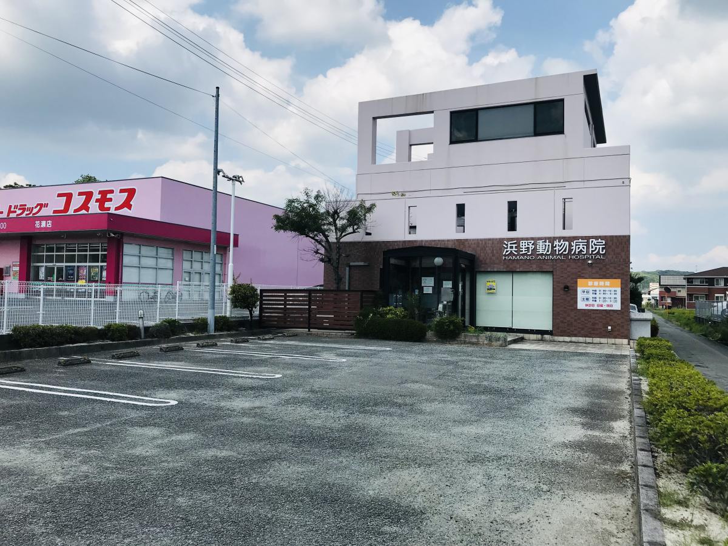 は ま の 動物 病院