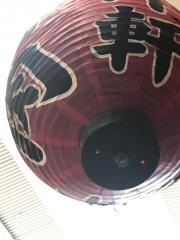 明洋軒