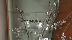 ＨＯＮＭＵＲＡＡＮ