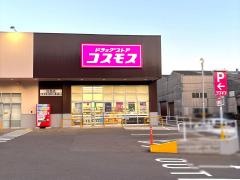 ドラッグストアコスモス白岳店