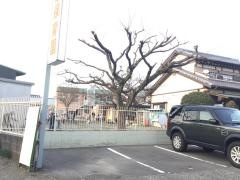 ふたば保育園