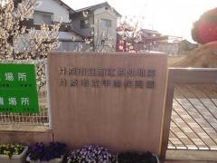 甲南保育園