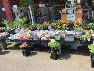 マーケットピア グッデイ姪浜店 福岡市西区姪の浜