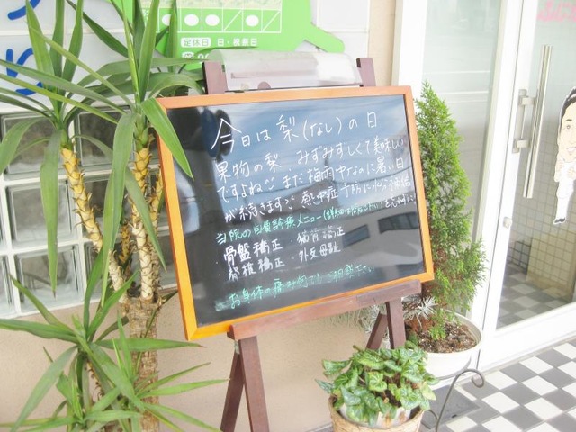 ふじた鍼灸整骨院／ホームメイト