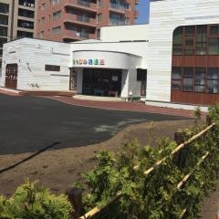 つぼみ幼稚園
