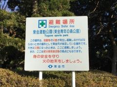 東金青年の森公園野球場