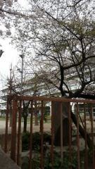 第三小学校