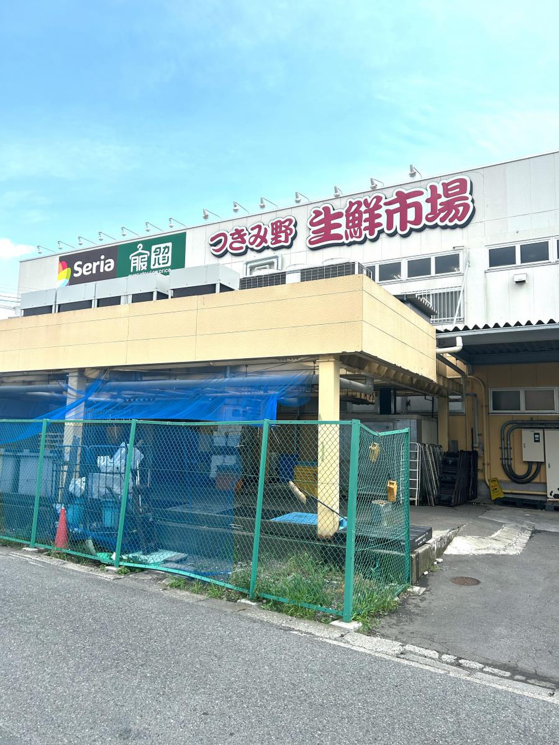 活動歴および当時の関連ビジュアル記録