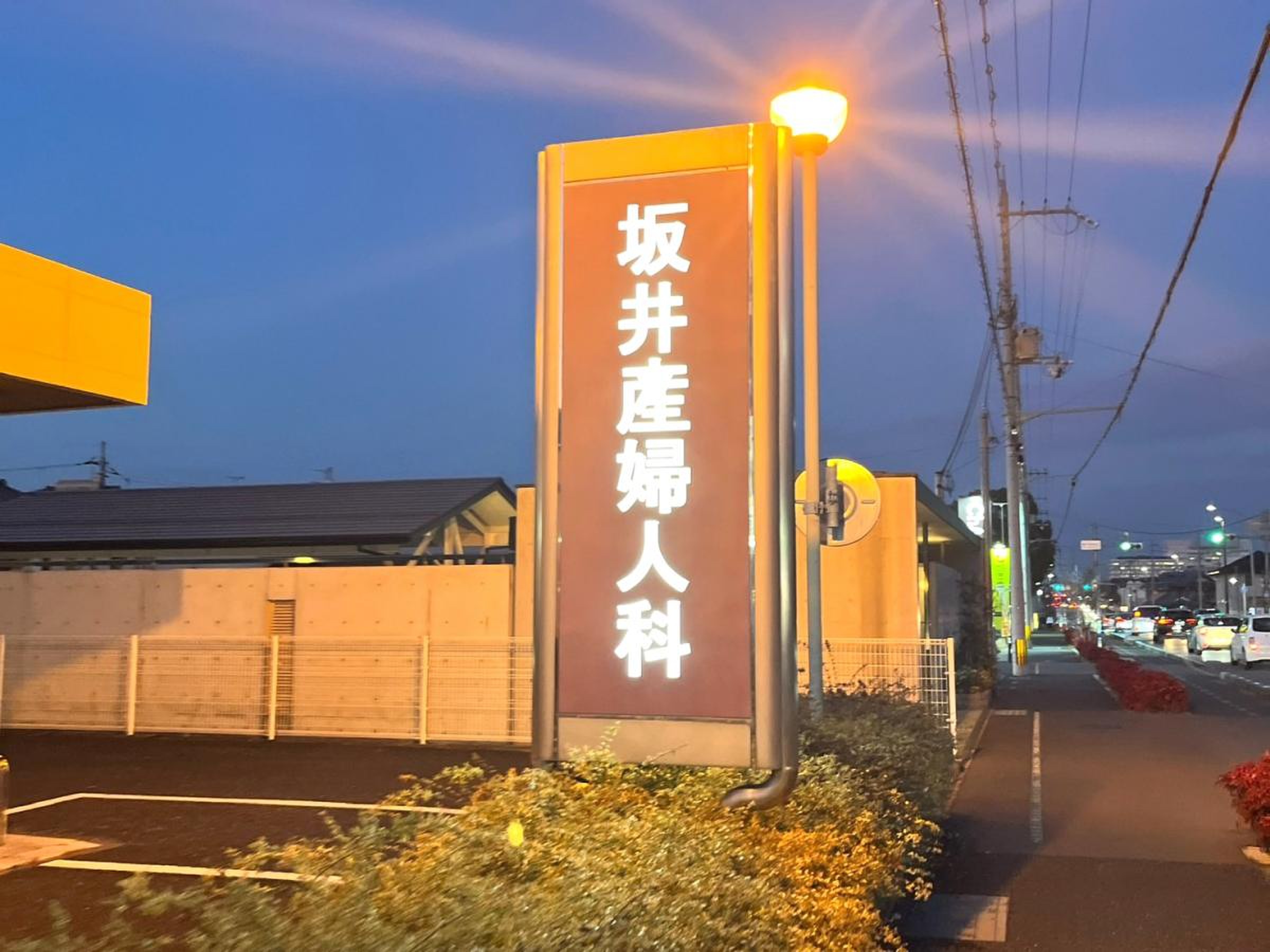 坂井 産婦 人 科