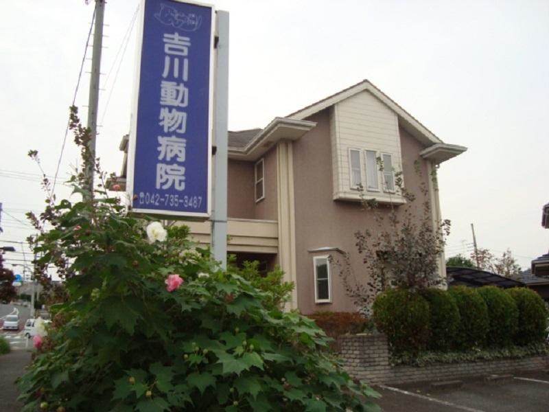 吉川動物病院