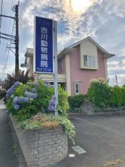 吉川動物病院