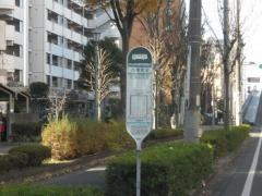 「南浦和橋」バス停留所