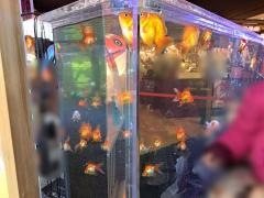 奈良金魚ミュージアム