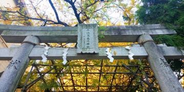 千住本氷川神社