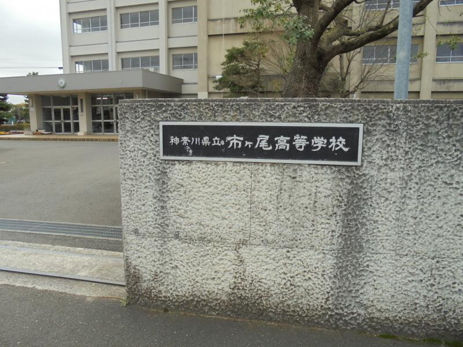神奈川 県立 市ケ尾 高等 学校