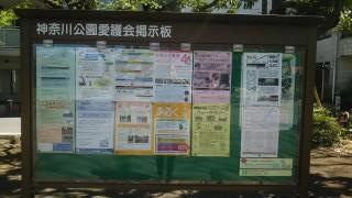 神奈川公園