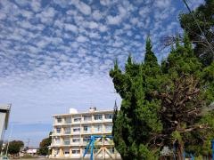 東野小学校