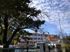 東野小学校