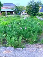知立公園
