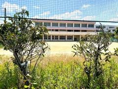 高石市立高南中学校