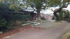 玉泉院