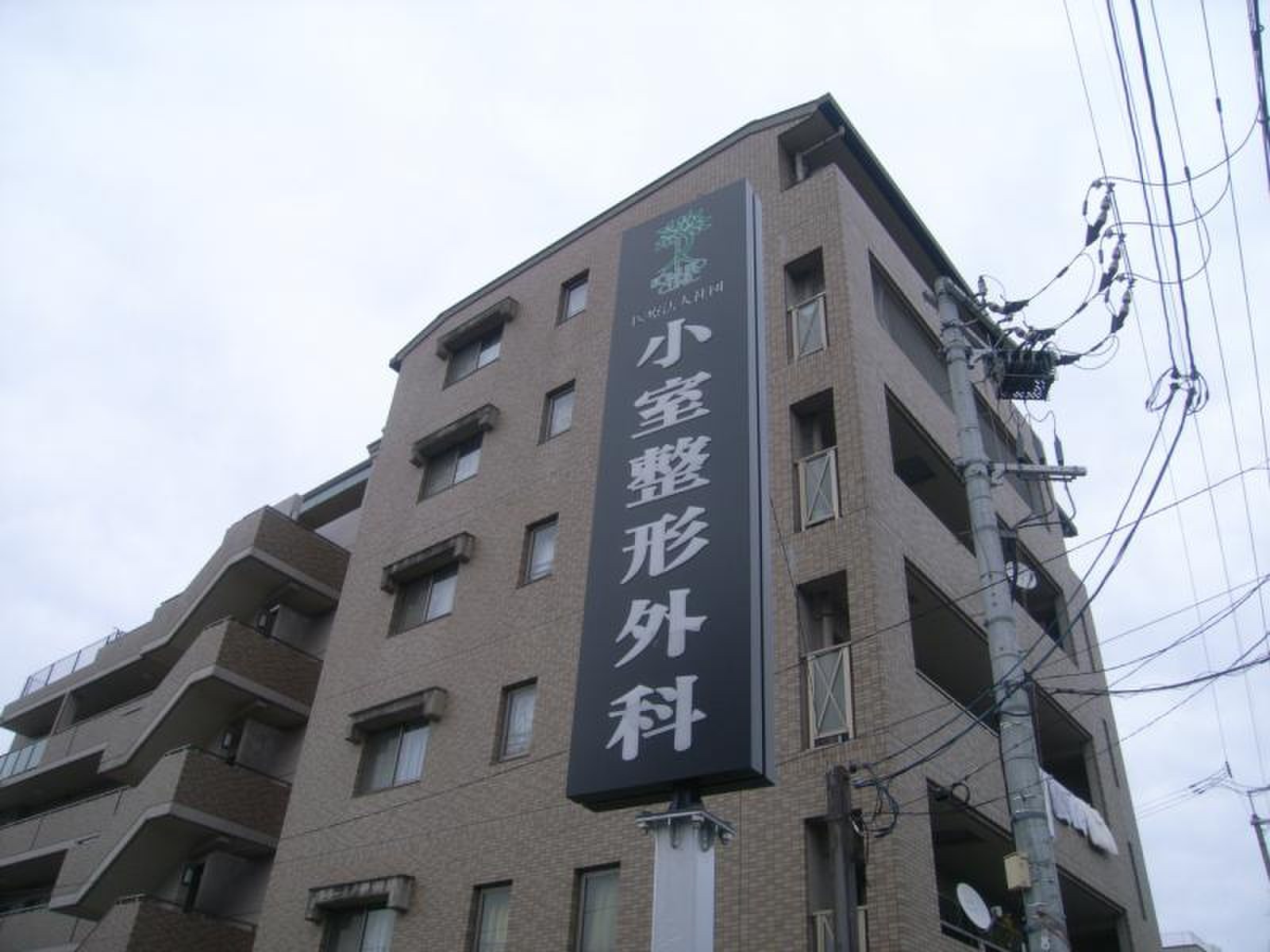 小室 整形 外科