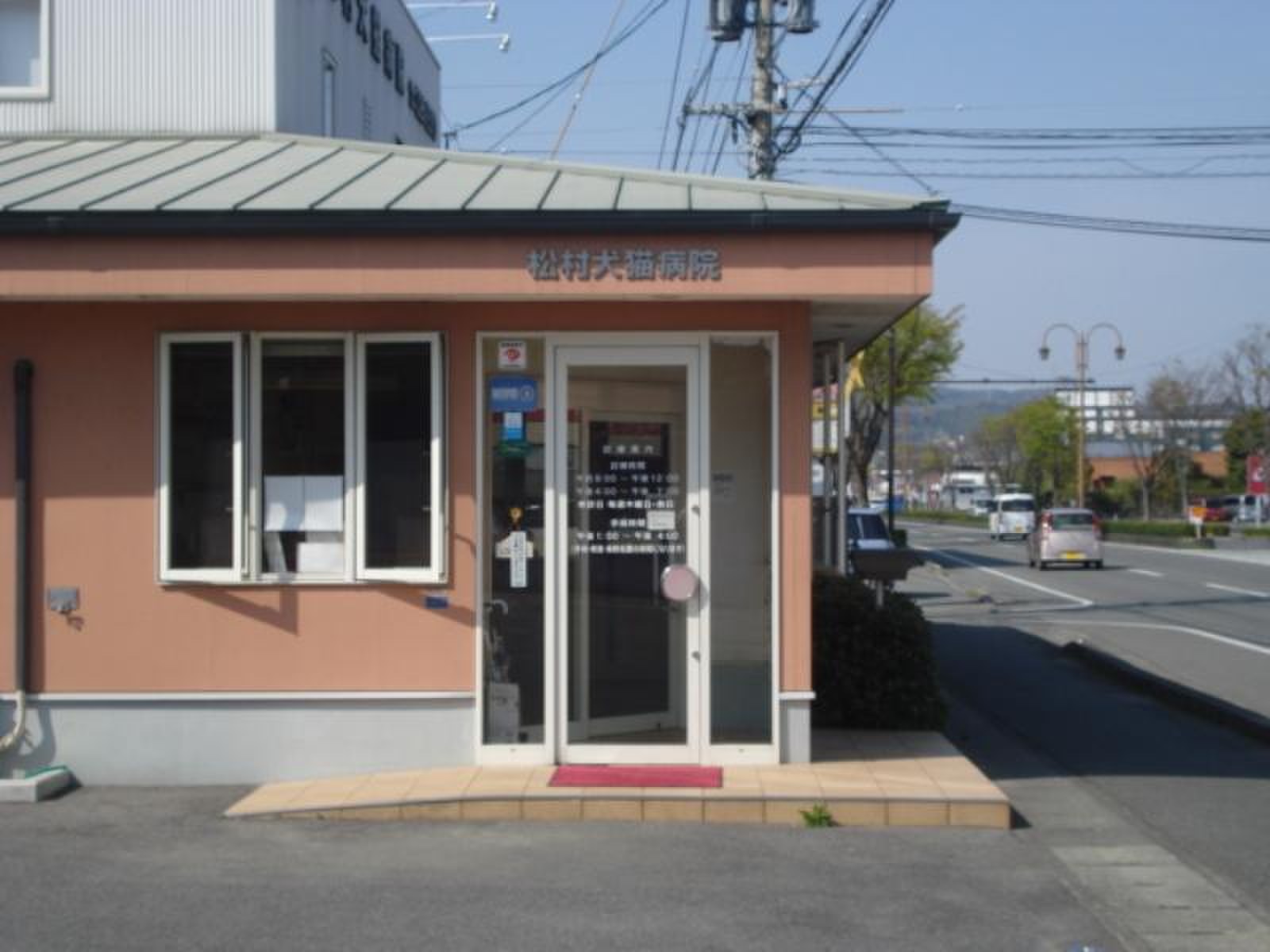 松村 犬 猫 病院