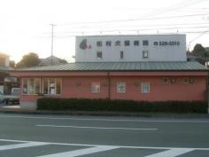 松村犬猫病院