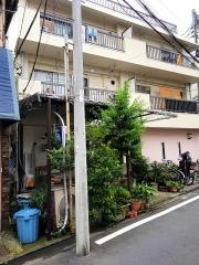 吉井