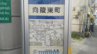「向陵東町」バス停留所