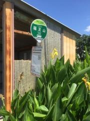 「福王山（鳥居前）」バス停留所