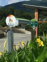 「福王山（鳥居前）」バス停留所