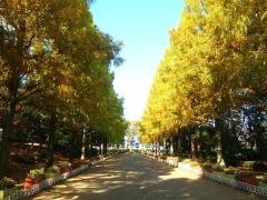 そうか公園