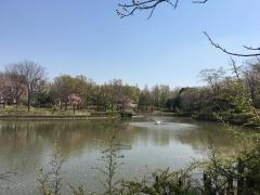 そうか公園