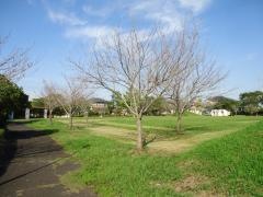 貝原塚東公園