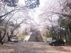 さくらの山公園