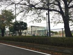 多摩第一小学校