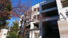 四谷第六小学校