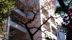 四谷第六小学校