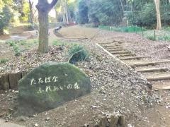 たちばなふれあいの森
