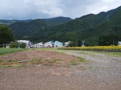 コスモス園