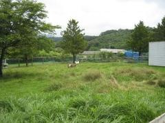 ふれあい牧場高原ハウス
