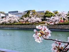 エブノ泉の森ホール（泉佐野市立文化会館　）