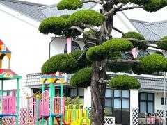 二ツ河保育園