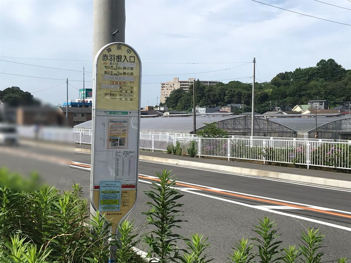 赤羽根入口