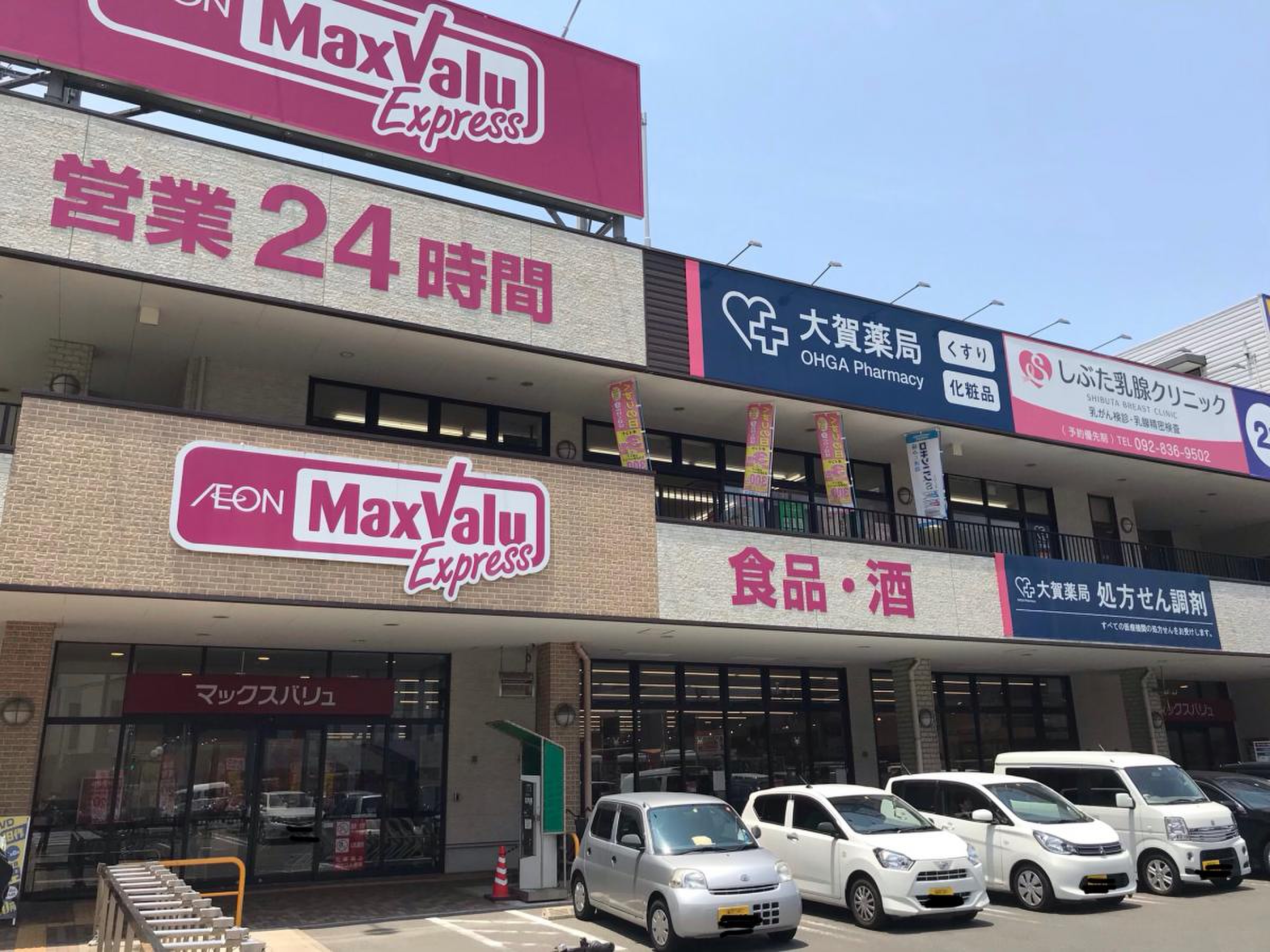活動歴および当時の関連ビジュアル記録