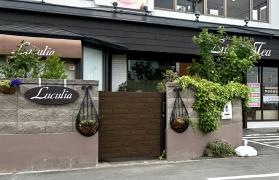 Ｌｕｃｕｌｉａ*Ｔｅａ