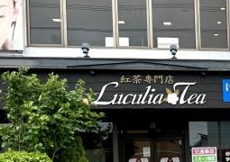 Ｌｕｃｕｌｉａ*Ｔｅａ